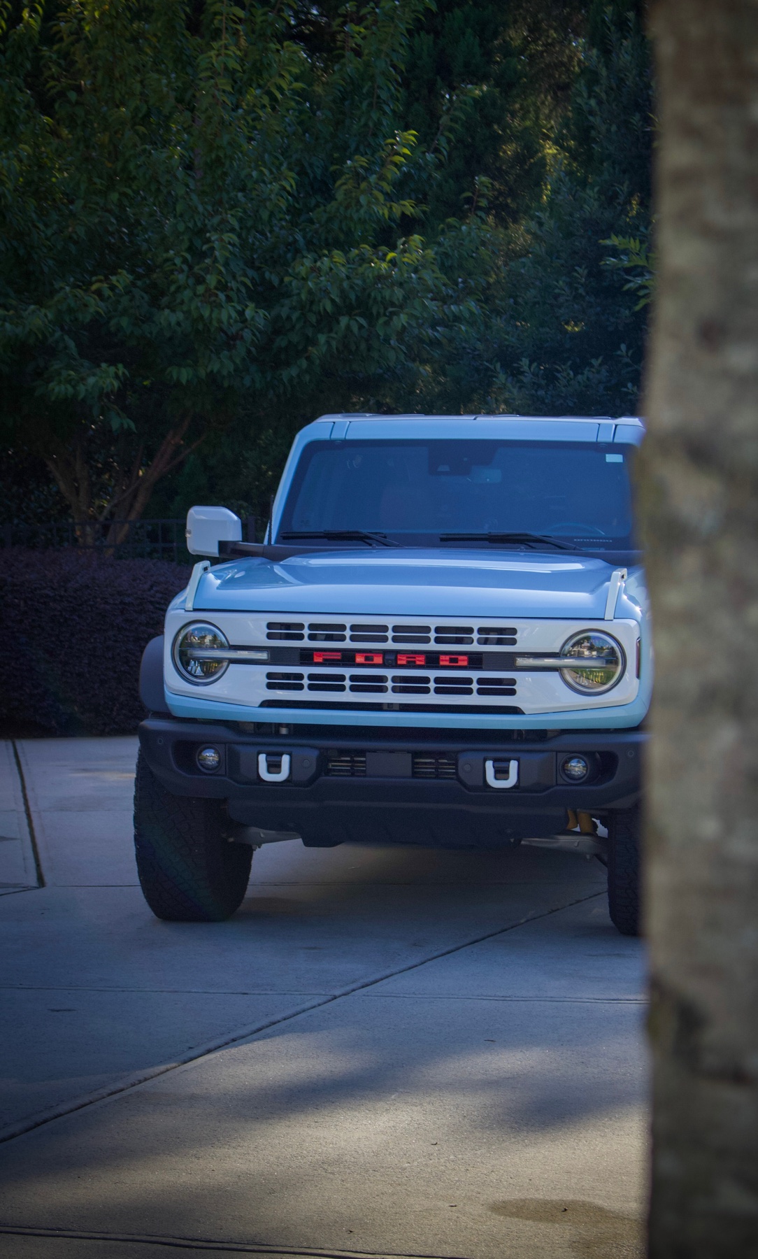 Front view of a clean light-blue Ford Bronco framed by trees